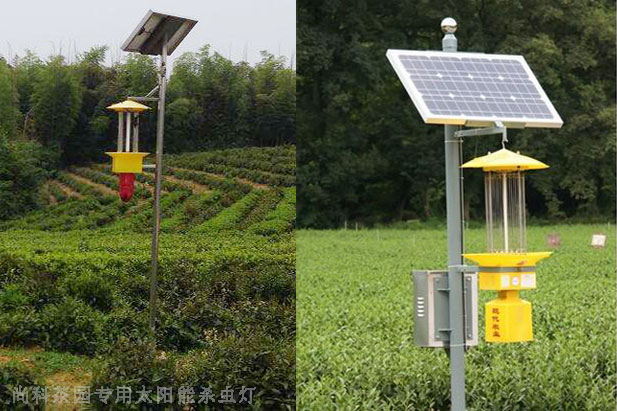 遂川茶園茄子视频在线看圖片案例