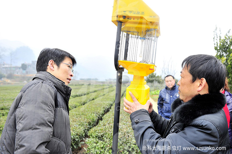 茄子视频在线看的價格是多少及效果如何