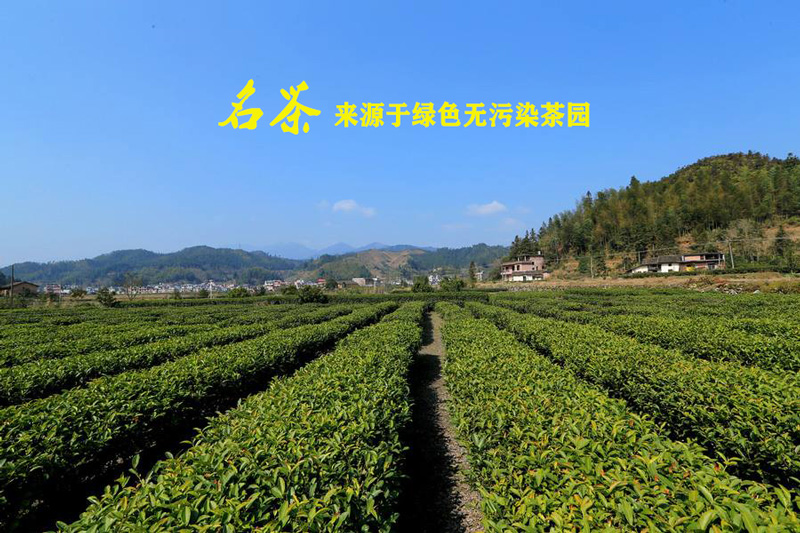 茶園用茄子视频在线看可以達到哪些效果