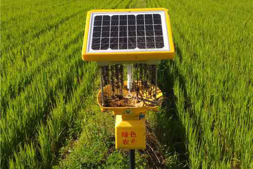 茄子视频在线看在黑龍江延壽縣水稻種植基地披甲上陣