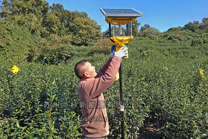 蘇州碧螺春茶園茄子视频在线看安裝紀實